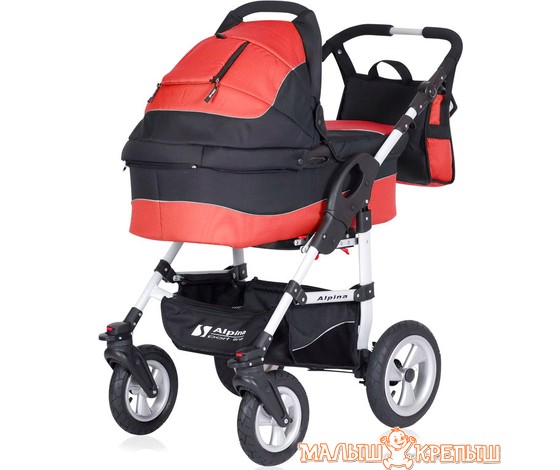Детская коляска Riko Alpina (2 в l)