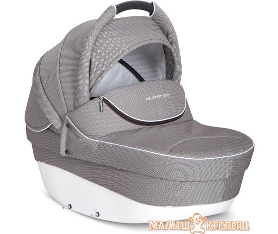 Детская коляска Expander Essence (2 в 1)