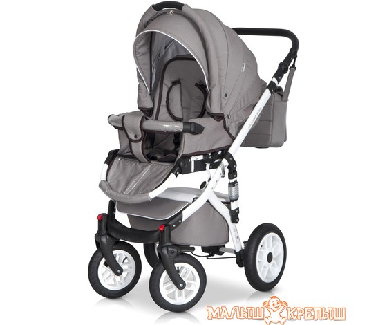 Детская коляска Expander Essence (2 в 1)