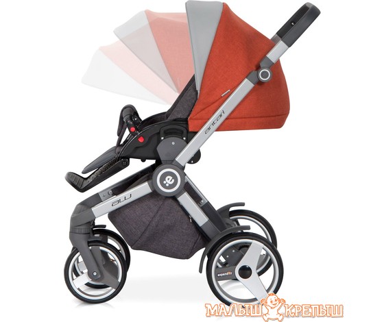 Детская коляска Expander Antari (2 в l)