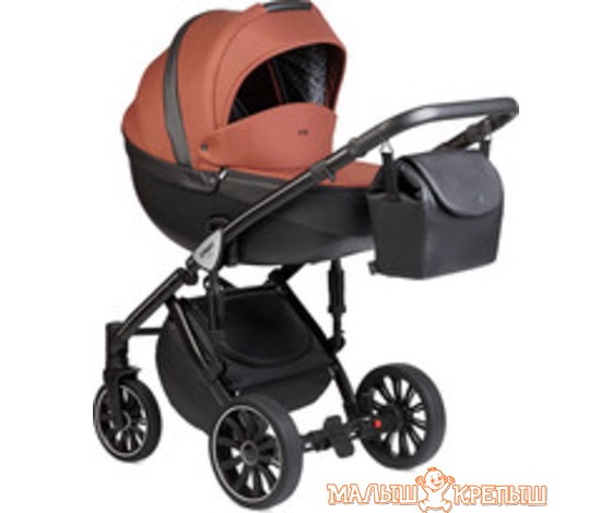 Детская коляска Anex Sport (2 в 1)