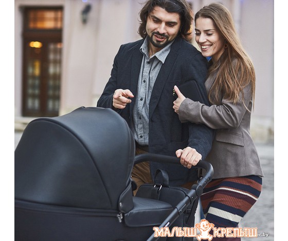 Детская коляска Anex Cross (3 в 1)