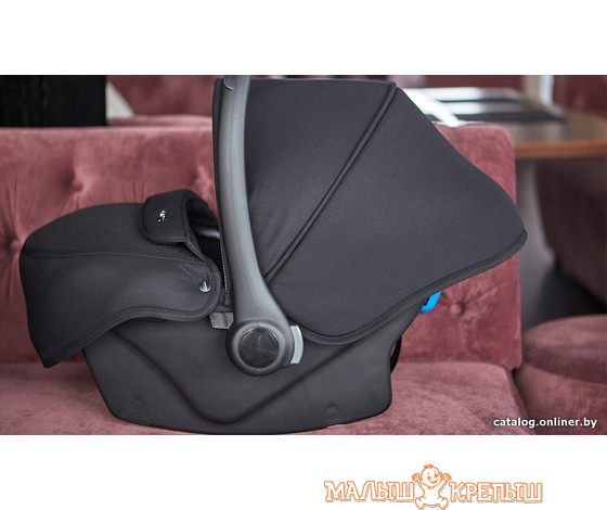 Детская коляска Anex Cross (3 в 1)