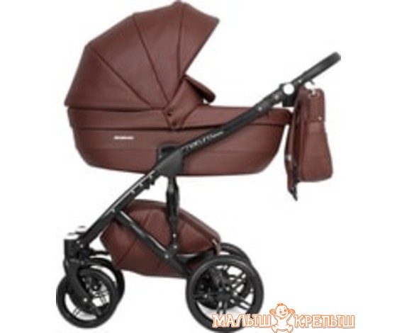 Универсальная коляска Riko Naturo Ecco (2 в 1)