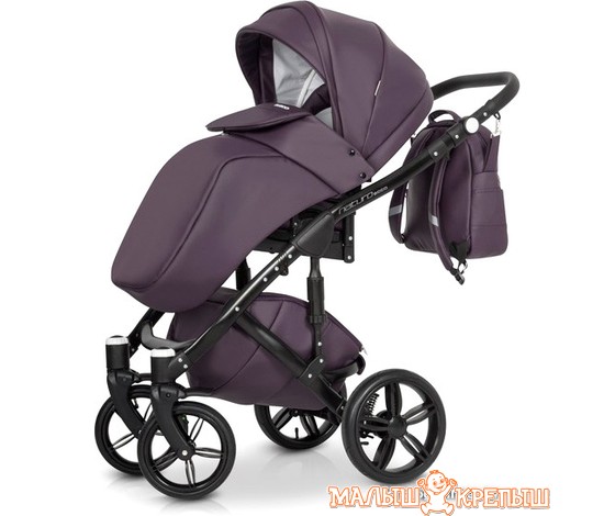 Универсальная коляска Riko Naturo Ecco (2 в 1)