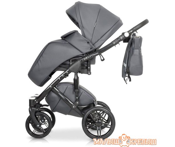 Универсальная коляска Riko Naturo Ecco (2 в 1)